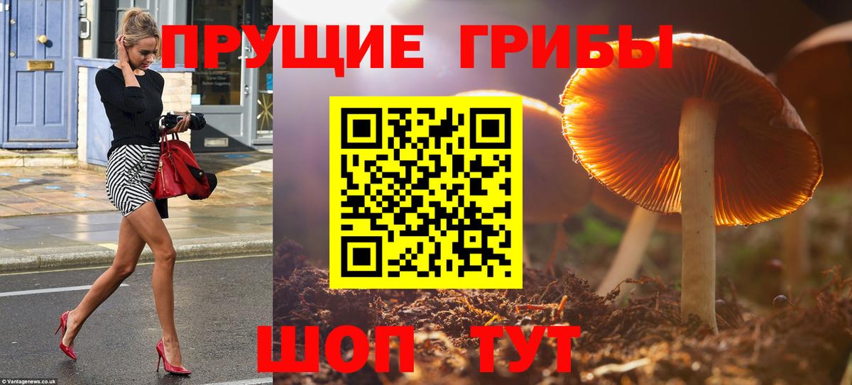 Печора  Псилоцибиновые грибы мицелий  Галлюциногенные грибы мицелий  Вход с VPN 