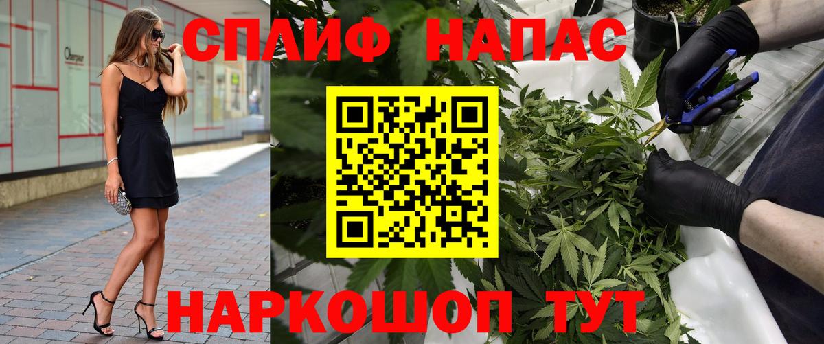 Конопля план Печора